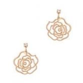 Brinco rosas
